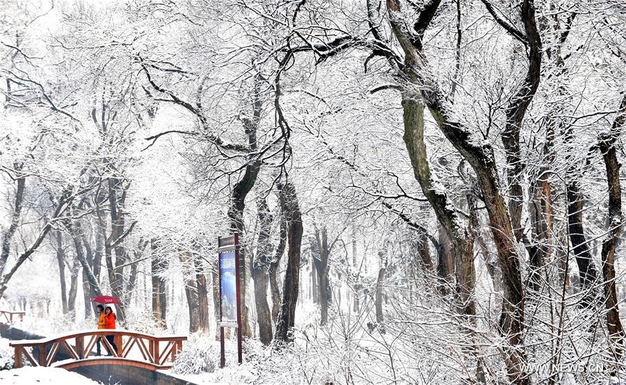 ????? ???????: ?????? ??????? ???? ????? ????? ?? ???? ?????