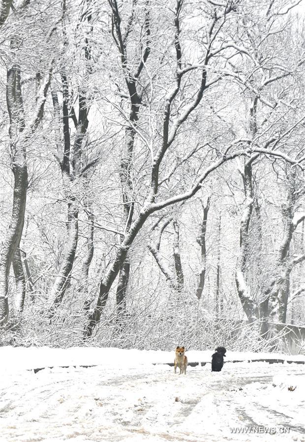 ????? ???????: ?????? ??????? ???? ????? ????? ?? ???? ?????