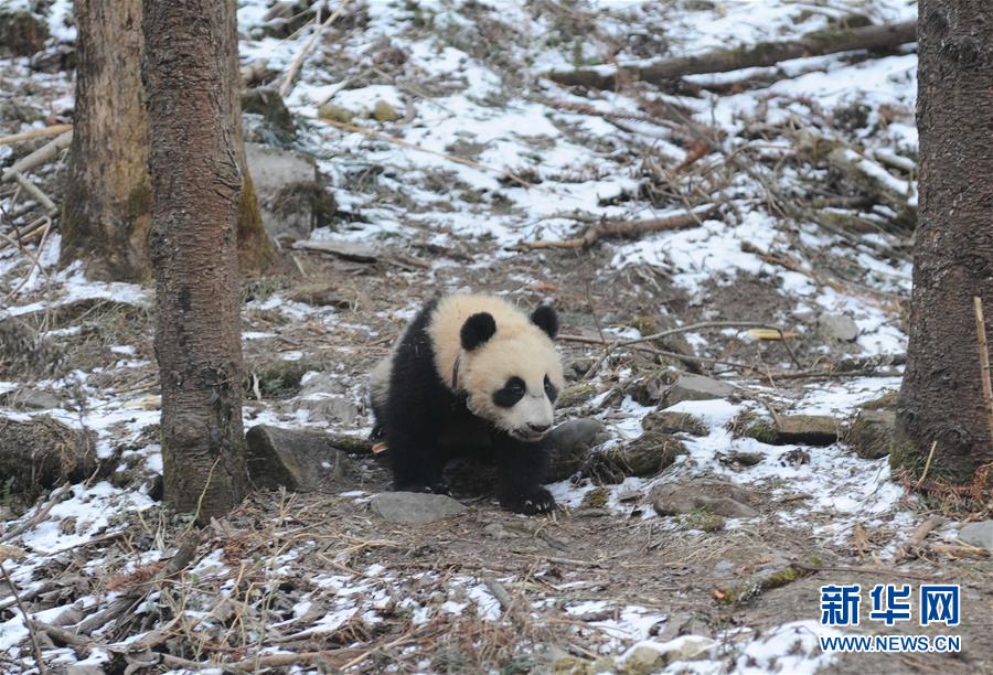 ????? ????? ??????? ???????? ?? ??????? ???? ???????