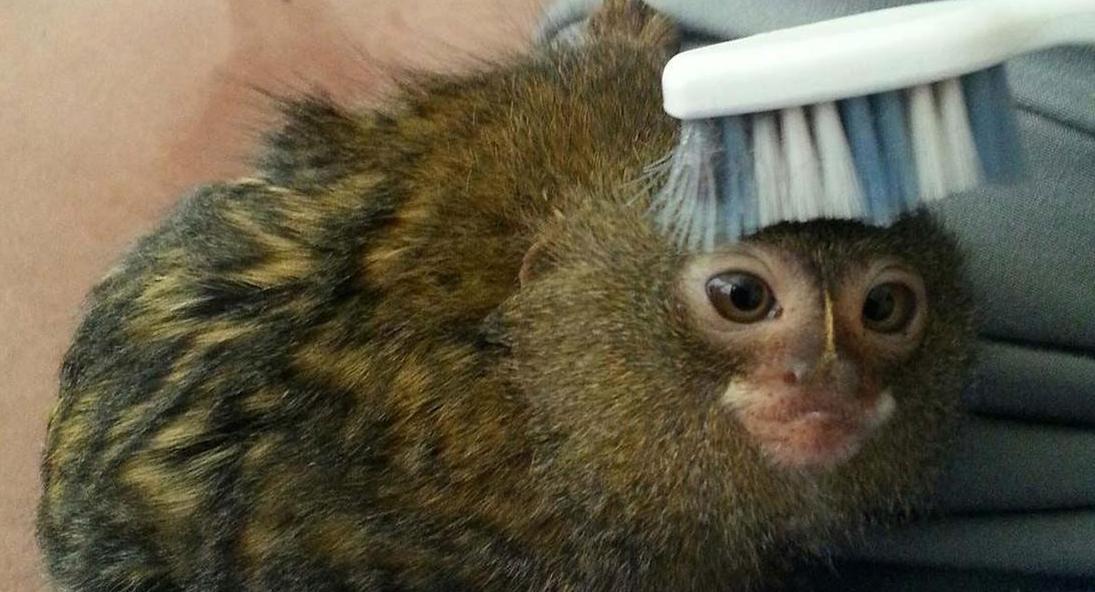 ???? ???? ???? ???? ??? ?? ??????