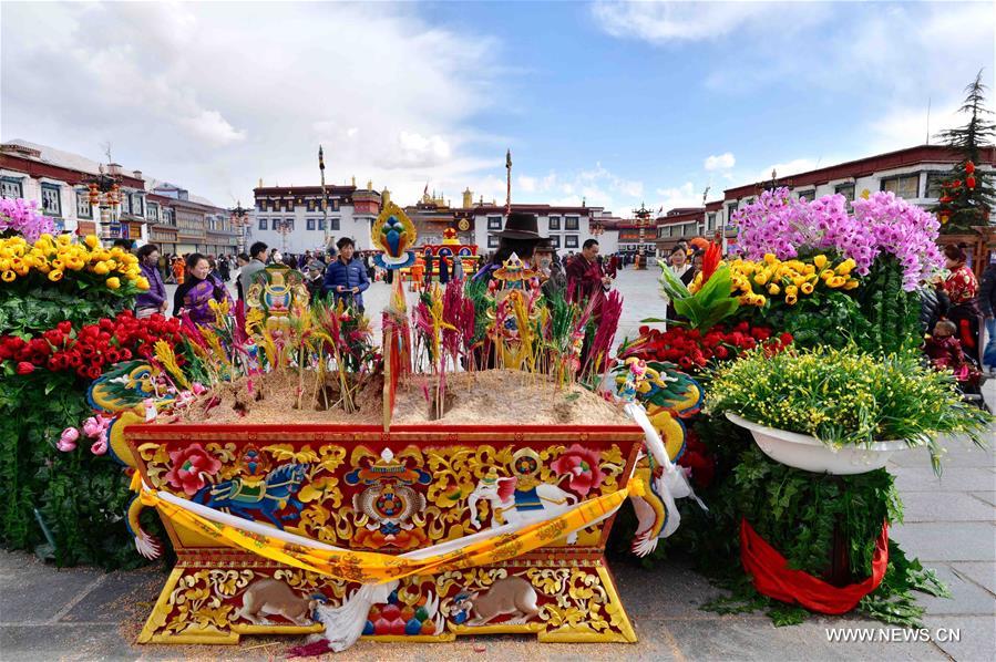 ??? ????? ????? ?????? ??????? ???????