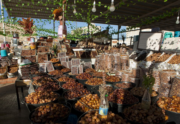 ???? ????? ???? ???? ???? ???????? ??? ??????