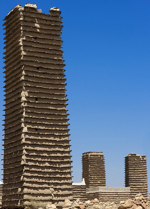 ???? ????? ???? ???? ???? ???????? ??? ??????