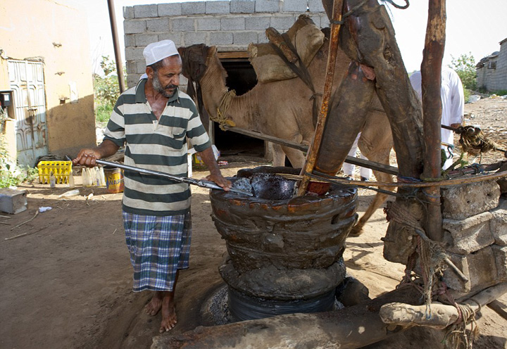 ???? ????? ???? ???? ???? ???????? ??? ??????