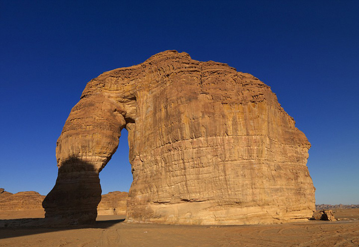 ???? ????? ???? ???? ???? ???????? ??? ??????