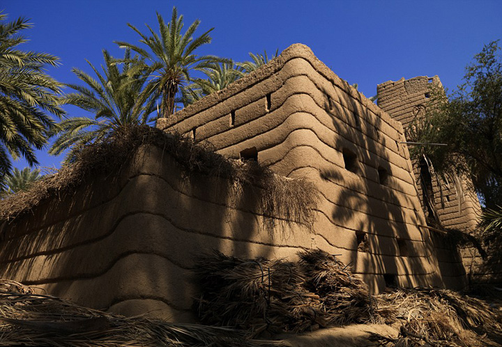 ???? ????? ???? ???? ???? ???????? ??? ??????