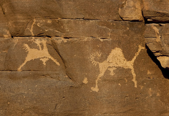 ???? ????? ???? ???? ???? ???????? ??? ??????