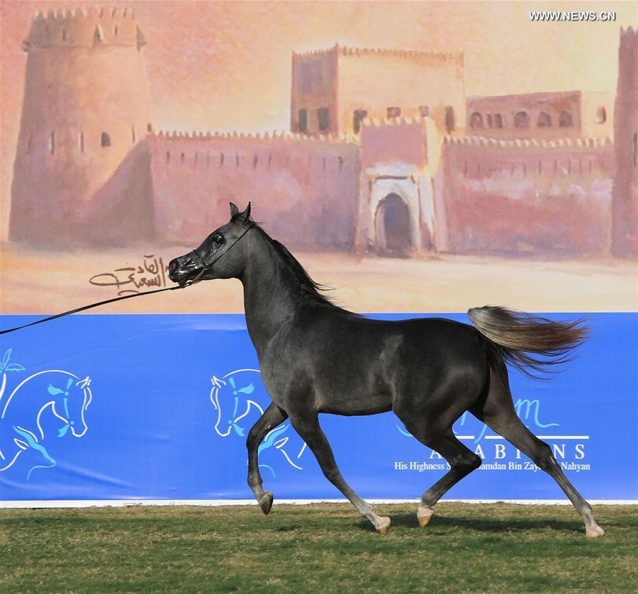 ?????? ????? ?????? ??????? ????? ?????? ??????? 2016