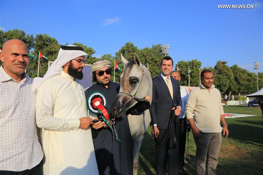 ?????? ????? ?????? ??????? ????? ?????? ??????? 2016