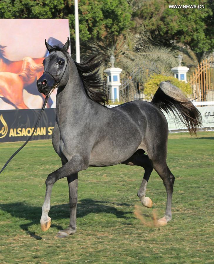 ?????? ????? ?????? ??????? ????? ?????? ??????? 2016