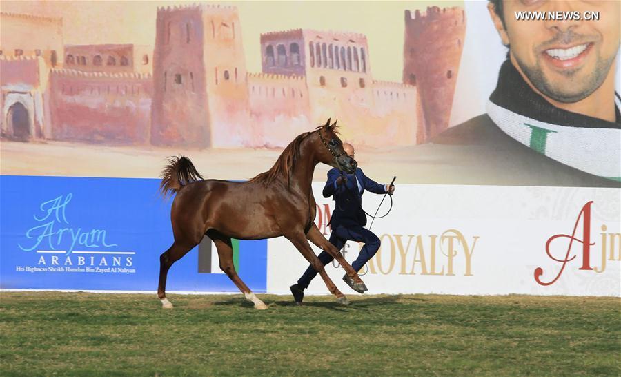 ?????? ????? ?????? ??????? ????? ?????? ??????? 2016