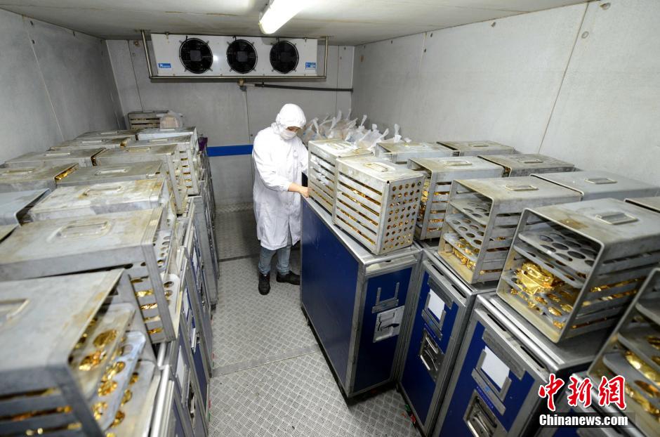 ????? ?? ?????  ????? ????? ????????