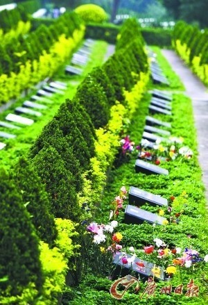 ?????? ?? 9 ????? ????? ?????? ??? ????? ??????? ?? ??? ????