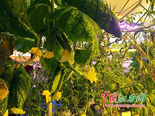 ???? ???..????? ???? ?? ????? ???????? ?? ????? ???????