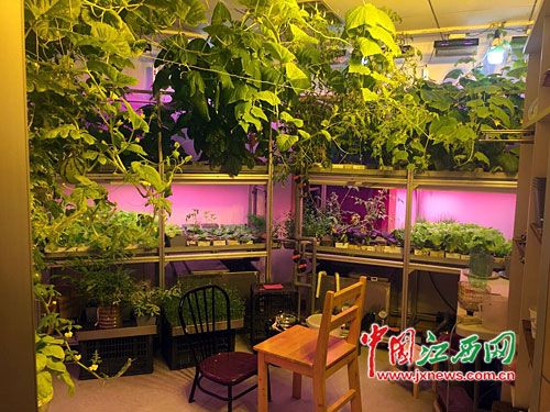 ???? ???..????? ???? ?? ????? ???????? ?? ????? ???????