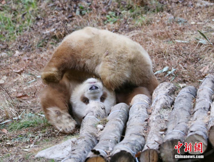 ??? ??????? ????? ?????? ?? ???? ?? ?????? ????? ?????? ?????