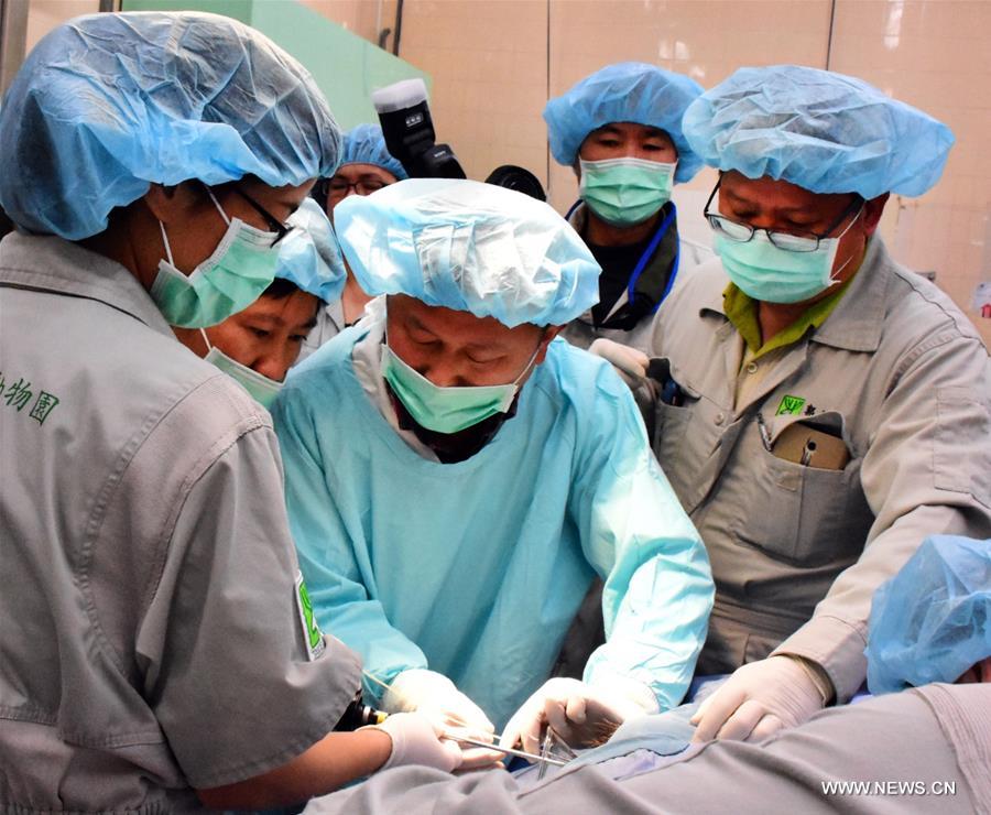 ????? ?????? ????????? ???? ???????? ??????? ??????? ???????? 