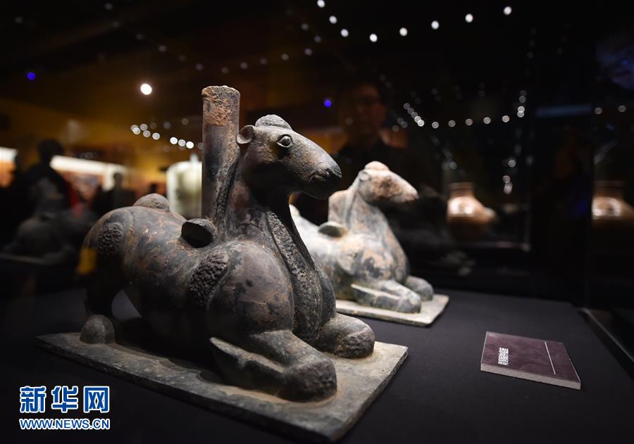 441 ???? ????? ?????? ?? ????? ???? ?????? ???? ?? ????