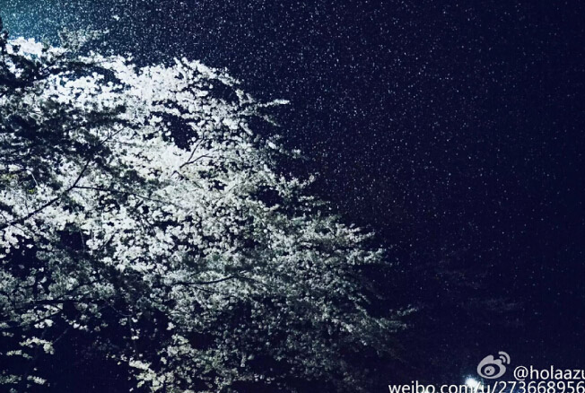  ???? ????????...????? ????? ??????  ?????? ?????