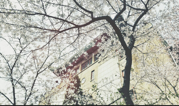  ???? ????????...????? ????? ??????  ?????? ?????