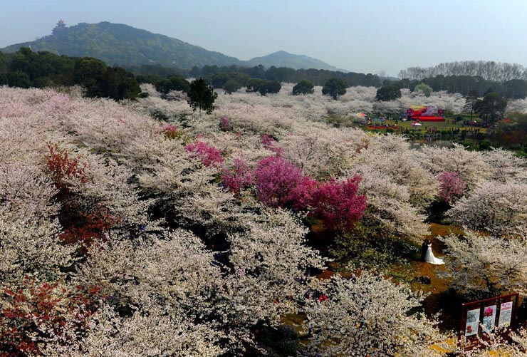  ???? ????????...????? ????? ??????  ?????? ?????