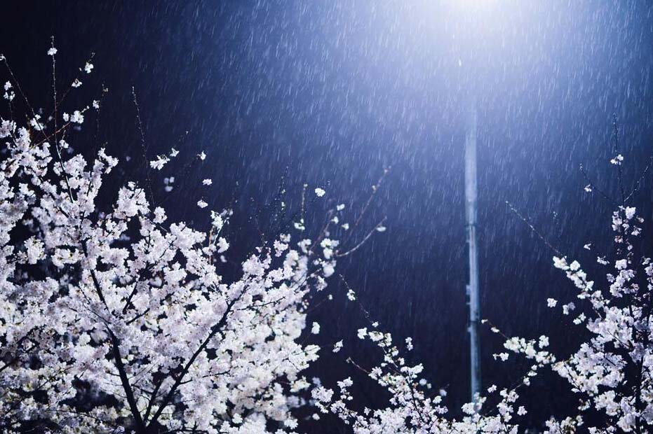  ???? ????????...????? ????? ??????  ?????? ?????