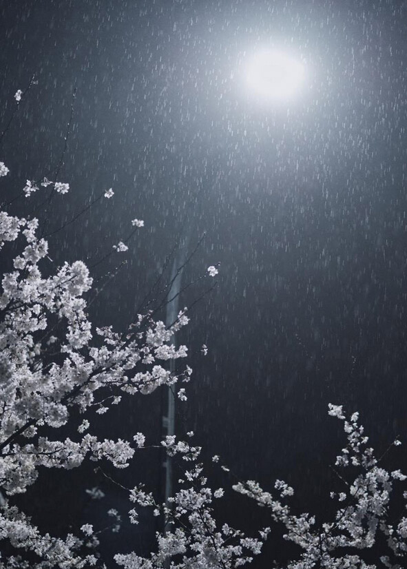  ???? ????????...????? ????? ??????  ?????? ?????