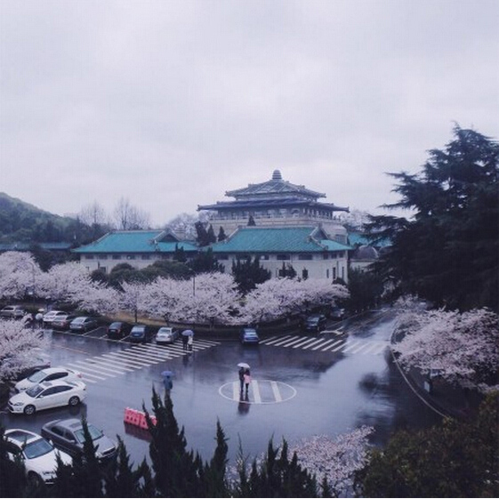  ???? ????????...????? ????? ??????  ?????? ?????