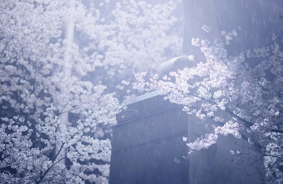  ???? ????????...????? ????? ??????  ?????? ?????