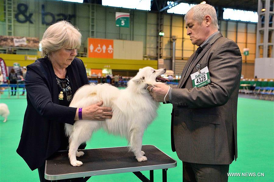 ?????? ???? ???? ?????? ?? ?????? ?????????