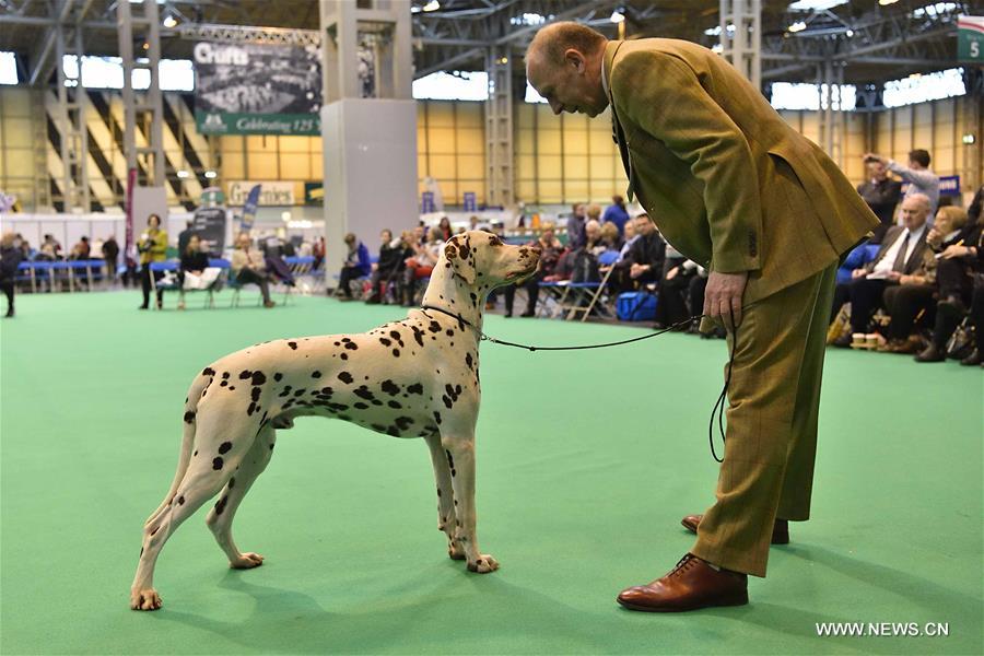 ?????? ???? ???? ?????? ?? ?????? ?????????