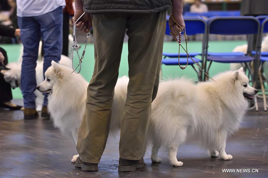 ?????? ???? ???? ?????? ?? ?????? ?????????