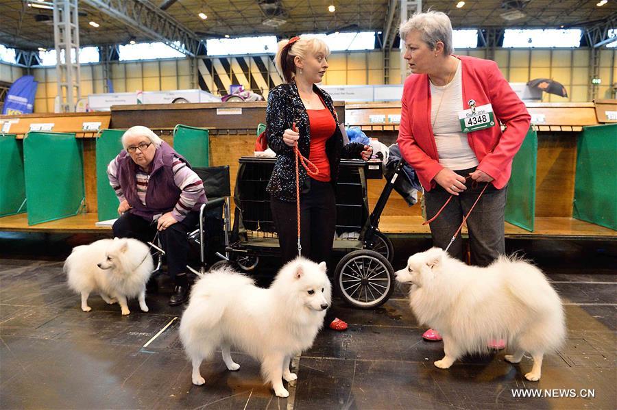 ?????? ???? ???? ?????? ?? ?????? ?????????