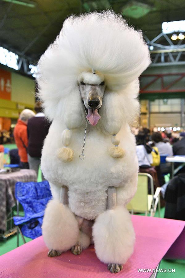 ?????? ???? ???? ?????? ?? ?????? ?????????