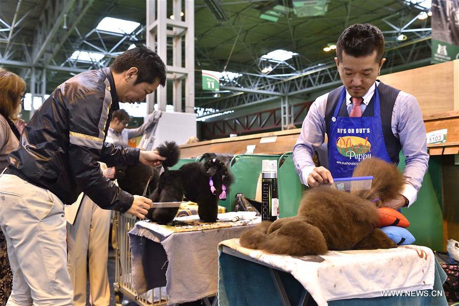 ?????? ???? ???? ?????? ?? ?????? ?????????