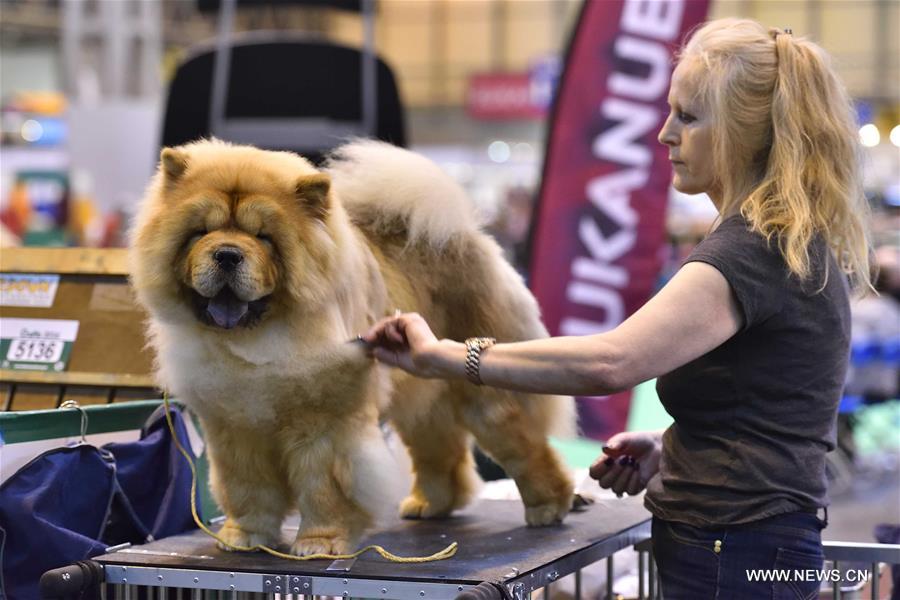 ?????? ???? ???? ?????? ?? ?????? ?????????