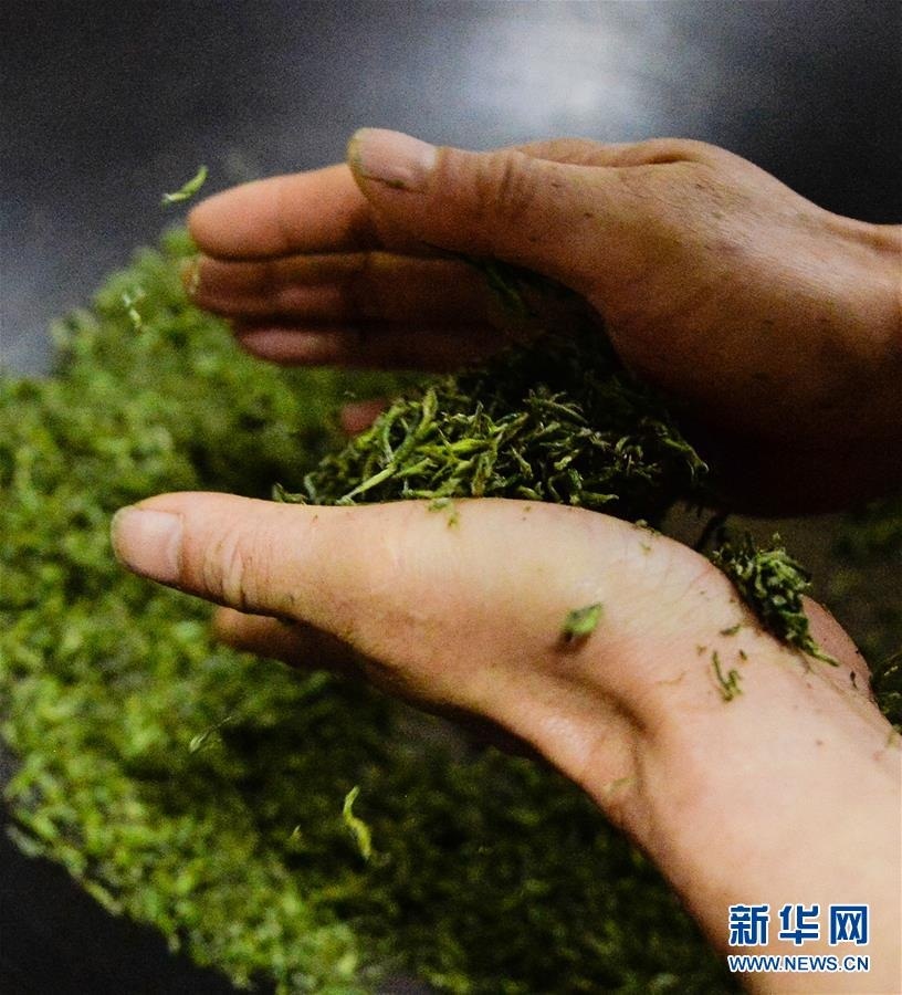 ??????? ????????? ???? ??? ????????