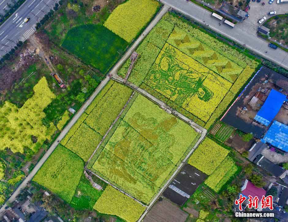 ???? ???? ???????? ???? ?????? ??????? ???????