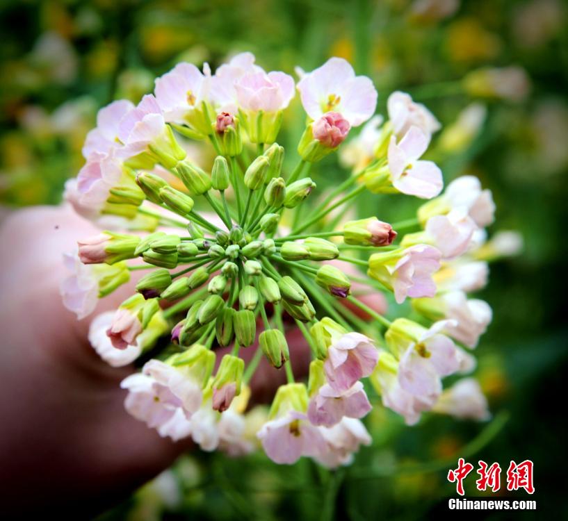 ???? ???? ???????? ???? ?????? ??????? ???????