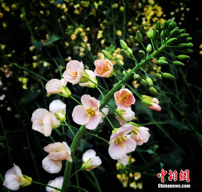 ???? ???? ???????? ???? ?????? ??????? ???????