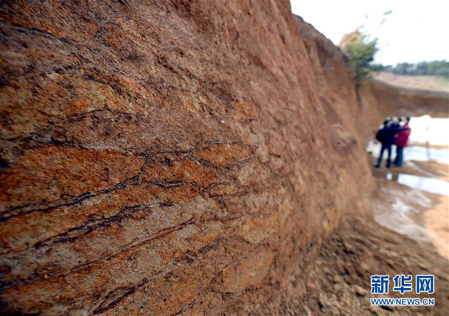 ?????? ??? ???? ????? ???? ?????? ?? ???????