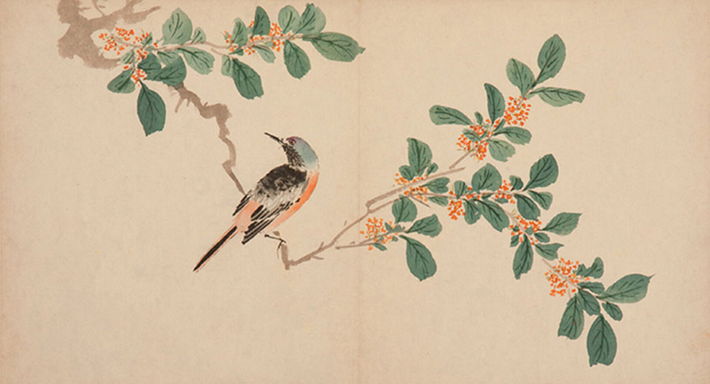 ???:?????? ?? ?????? ??????? ???????