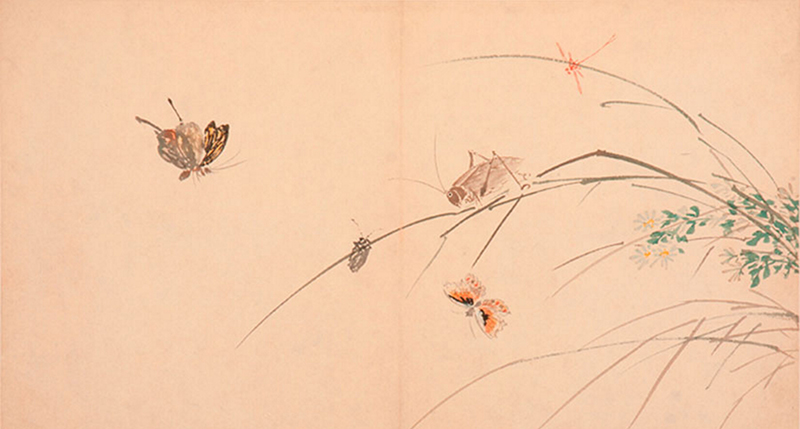 ???:?????? ?? ?????? ??????? ???????