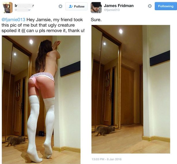 ???? ??????? ????? ??? ????????? ???? ????