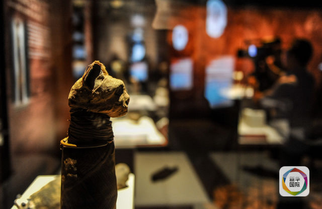 ???? ???? ???????? ?? ??????????