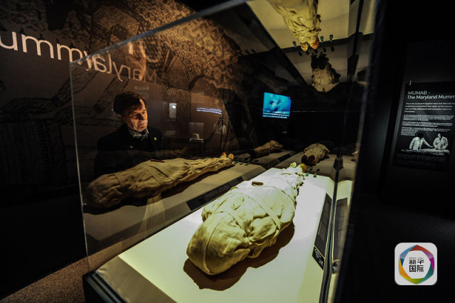 ???? ???? ???????? ?? ??????????