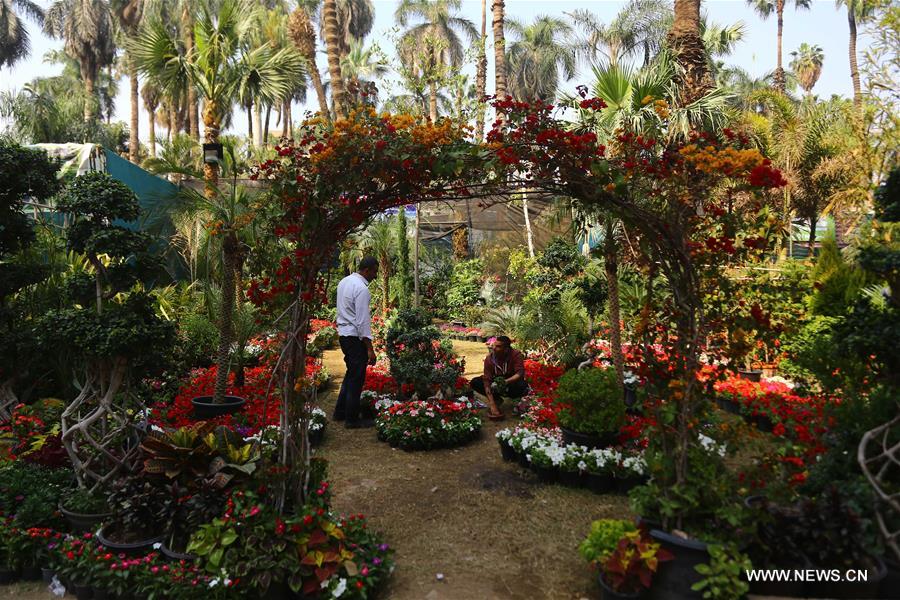 ???? ?????????? ?? ???