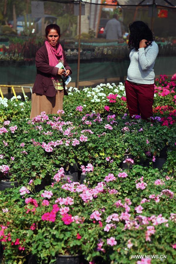 ???? ?????????? ?? ???