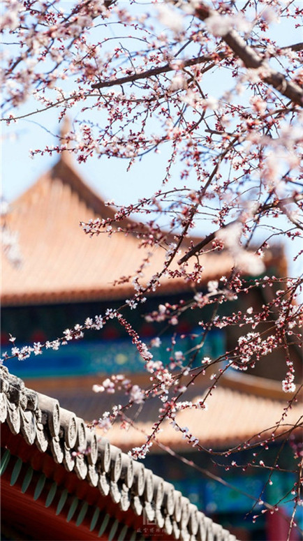 ???: ????? ??? ????? ?????? ????? ?????? ??????? ????? ????? ???????????  ????? ???  ??? ?????? ????? ?????????  