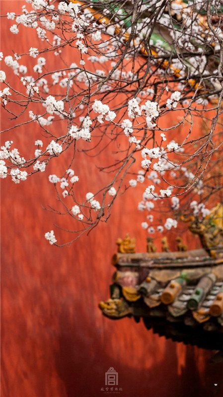 ???: ????? ??? ????? ?????? ????? ?????? ??????? ????? ????? ???????????  ????? ???  ??? ?????? ????? ?????????  